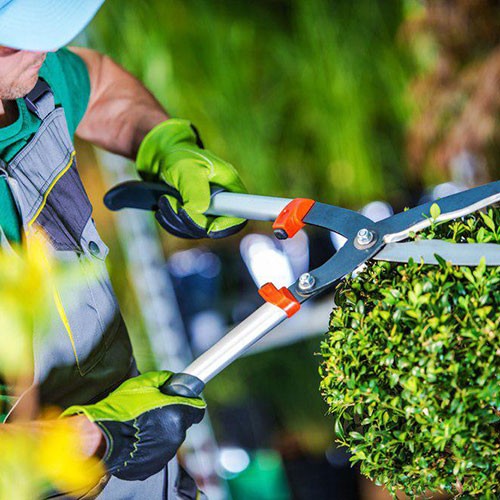 gardening 2 1
