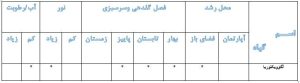 آگاو ویکتوریا 1