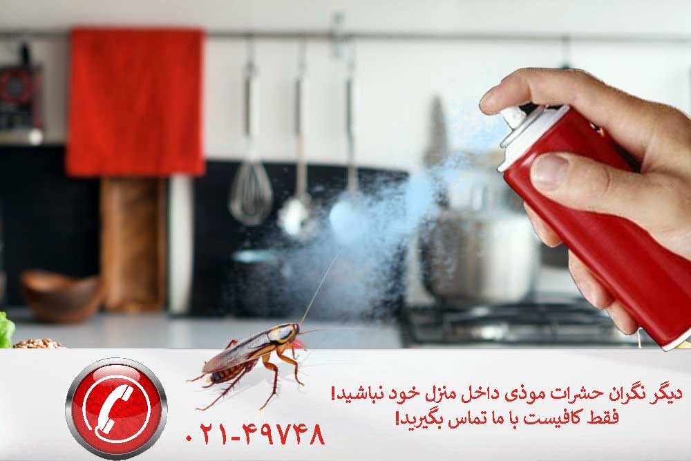 Insect Spraying Banner 1