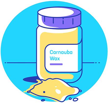 همه آنچه که باید درباره واکس ماشین بدانید! 3 واکس ماشین کارنوبا چیست